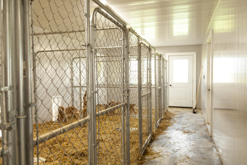 Trusscore Dog Kennel Walls & Partitions 