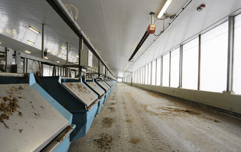 Elora Dairy Facility - Cow Barn - University of Guelph